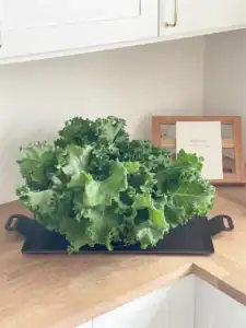 Grønkål